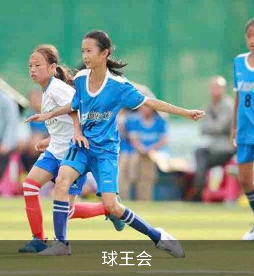 走进球王会